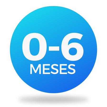 0-6 Meses