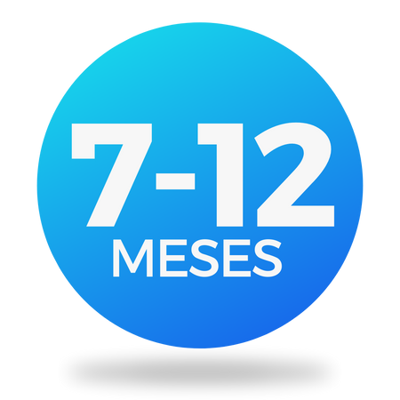 7-12 Meses